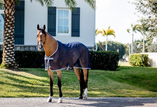 OPENBOX: Amigo Net Cooler - 81 - Navy/Titanium Grey/Silver