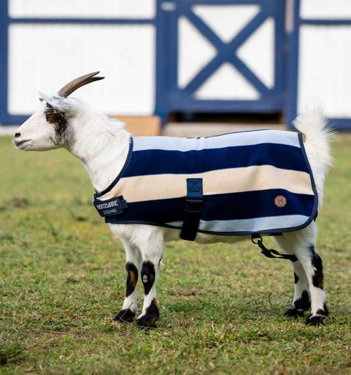 OVERSTOCK: Horseware Newmarket Goat Fleece - X Small - Witney Navy