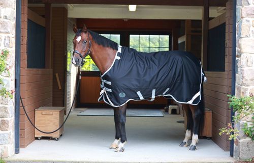 BARGAIN BARN: Centaur TG1 Horse Blanket - 87 - Black