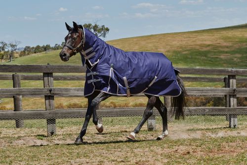 BARGAIN BARN: Weatherbeeta Comfitec Essential Combo Neck Medium Turnout - 69 - Navy/Silver/Red