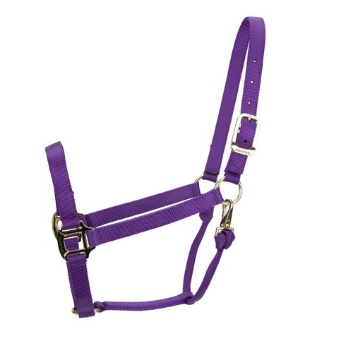 Shires ARMA Non Adjustable Nylon Halter - Purple