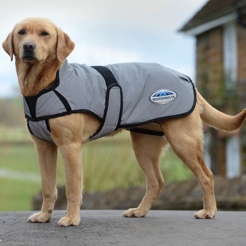 BARGAIN BARN: Weatherbeeta Comfitec Reflective Dog Coat Medium - 14 - Silver