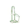 Pale Green