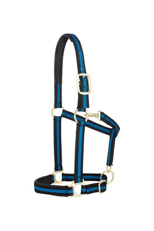 Weaver Striped Padded Adjustable Halter - Black/Blue