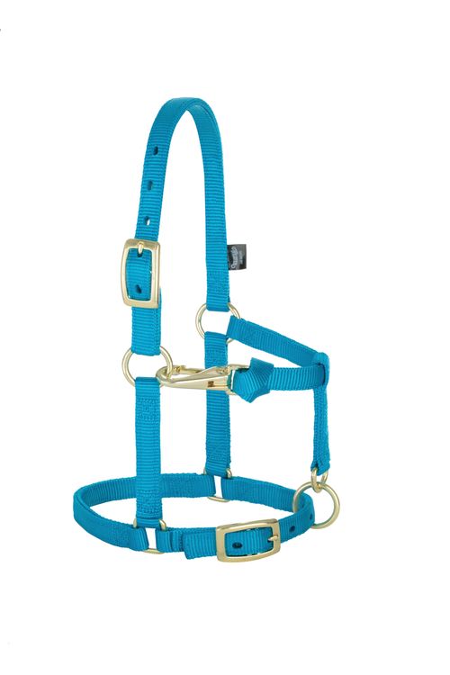 Weaver Miniature 5/8" Original Adjustable Halter - Hurricane Blue