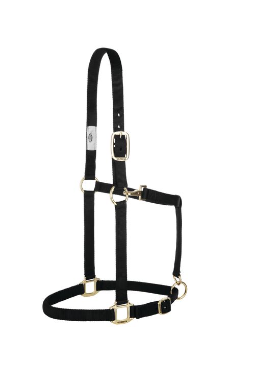 Weaver Nylon 1" Adjustable Draft Halter - Black