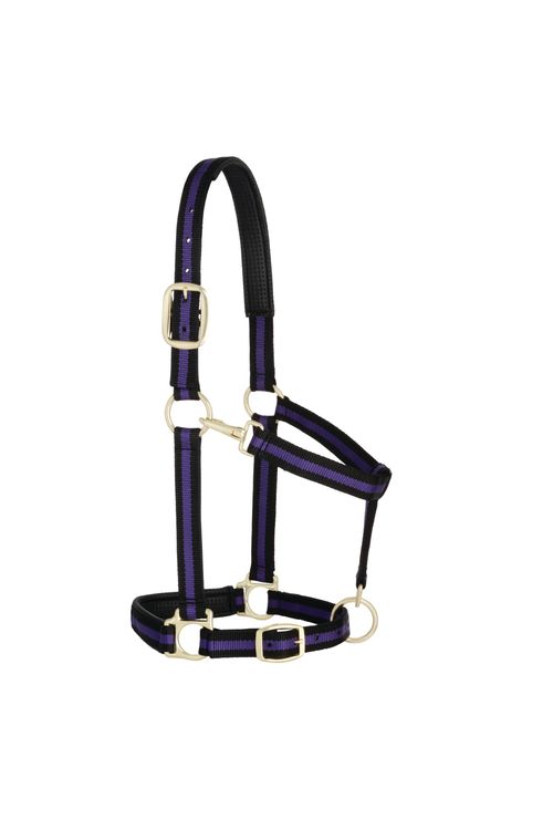 Weaver Striped Padded Adjustable Halter - Black/Purple