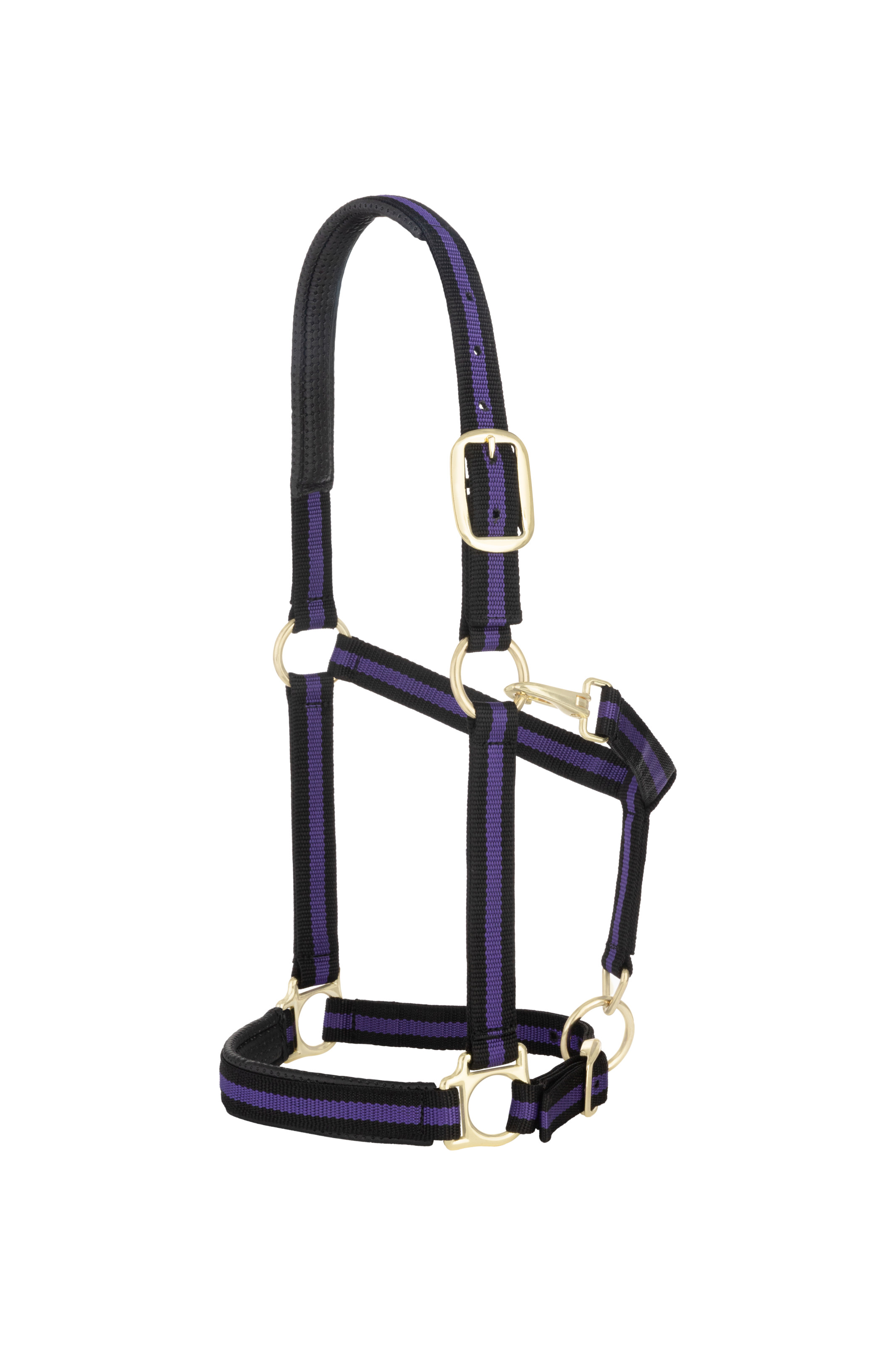 Weaver Striped Padded Adjustable Halter - Black/Purple - Weaver ...