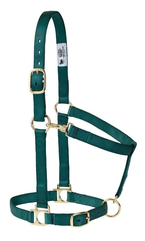 Weaver Poly Adjustable Halter - Hunter Green