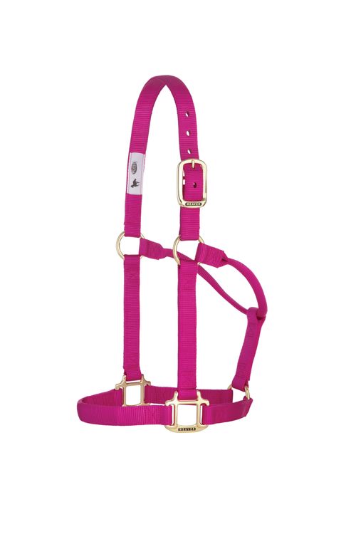 Weaver Original Non-Adjustable Halter - Raspberry