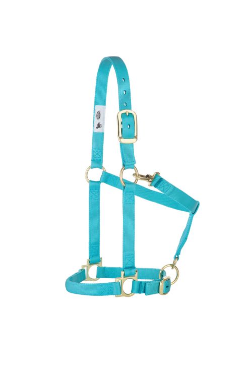 Weaver Basic Adjustable Halter - Turquoise