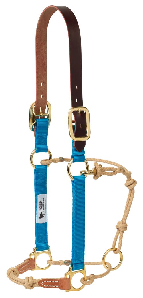 Weaver Kalley Krickeberg Breakaway Horseman's Halter - Hurricane Blue/Tan