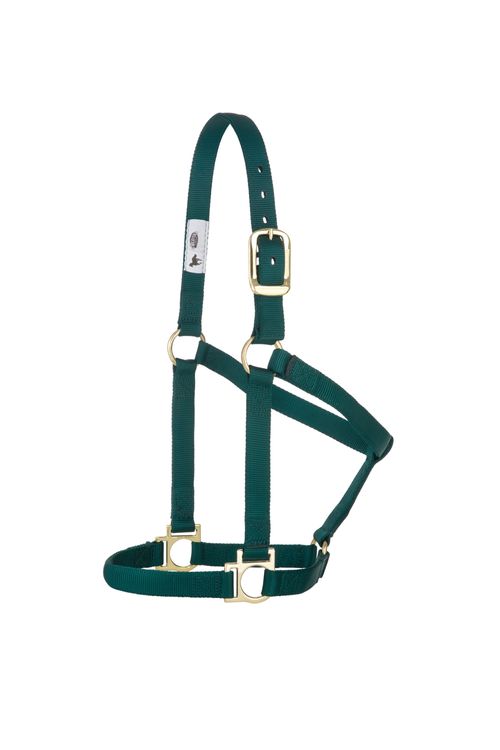 Weaver Basic Non-Adjustable Halter - Hunter Green
