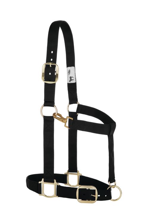 Weaver Nylon 1.5"  Adjustable Draft Halter - Black
