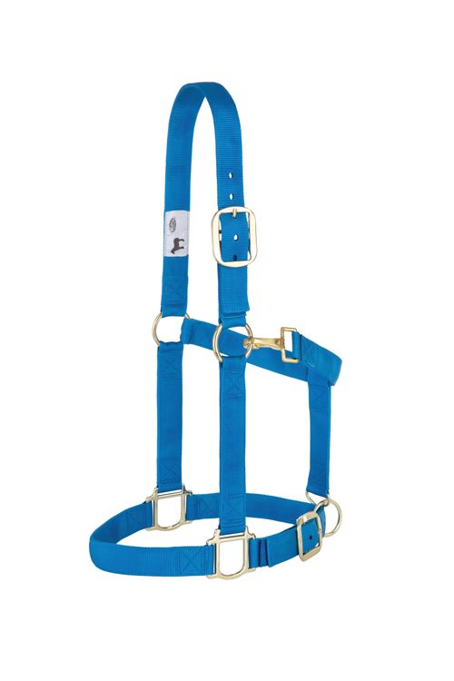 Weaver Nylon 1.5"  Adjustable Draft Halter - Blue