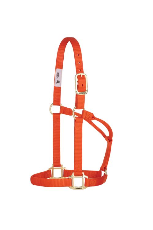 Weaver Original Non-Adjustable Halter - Orange