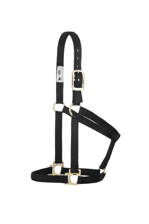 Weaver Basic Non-Adjustable Halter - Black