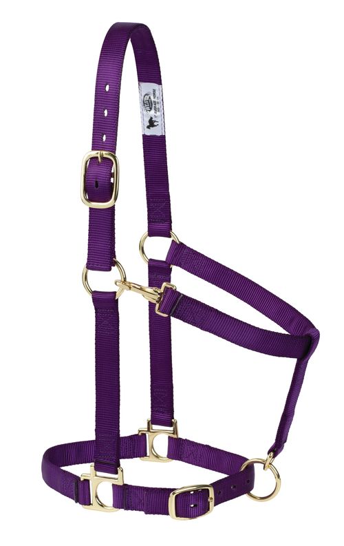Weaver Poly Adjustable Halter - Purple