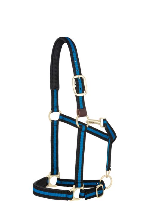 Weaver Padded Breakaway Adjustable Halter - Black/Blue