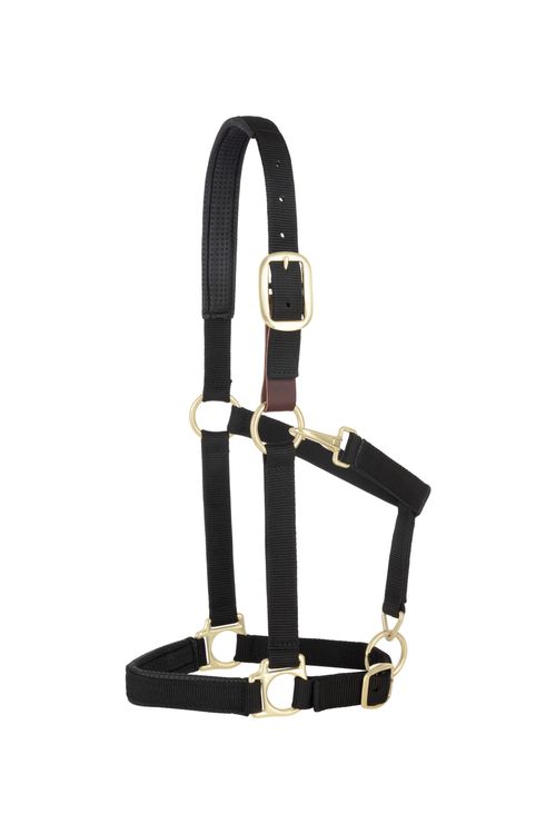 Weaver Padded Breakaway Adjustable Halter - Black