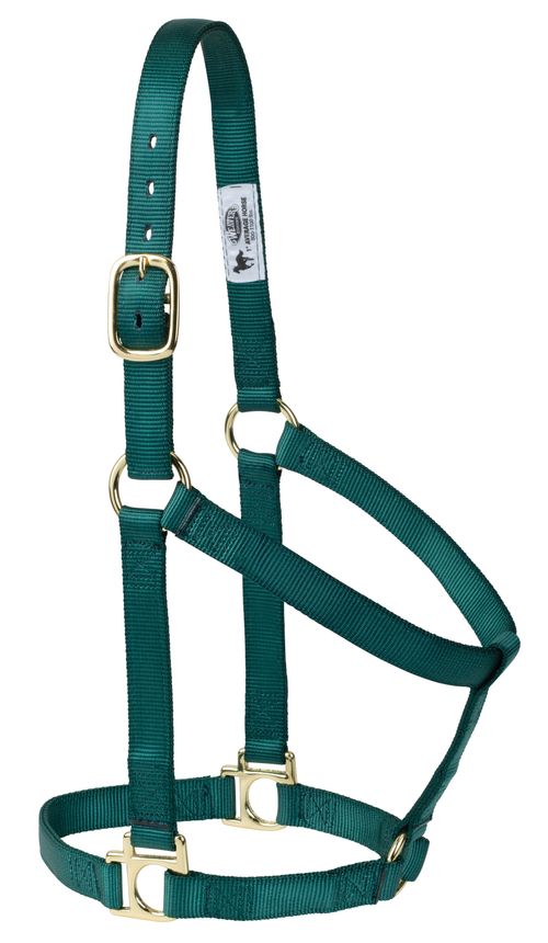 Weaver Poly Non-Adjustable Halter - Hunter Green