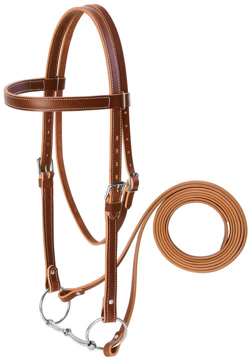 Weaver Draft Bridle - Sunset