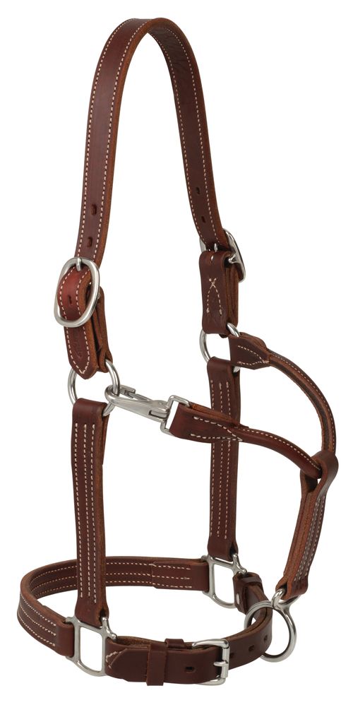 Weaver Ranch Horse Halter - Canyon Rose