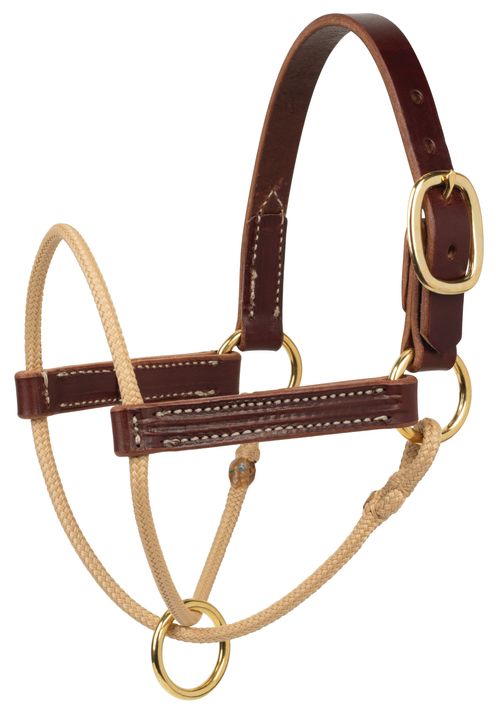 Weaver Kalley Krickeberg Foal Halter - Brown/Tan