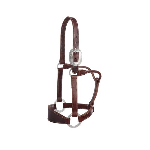 Weaver Stacy Westfall Bronc Halter - Sunset