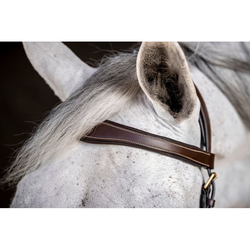 Main