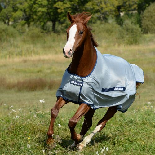 OPENBOX: Bucas Classic Buzz Off Fly Sheet - 72 - Silver/Navy