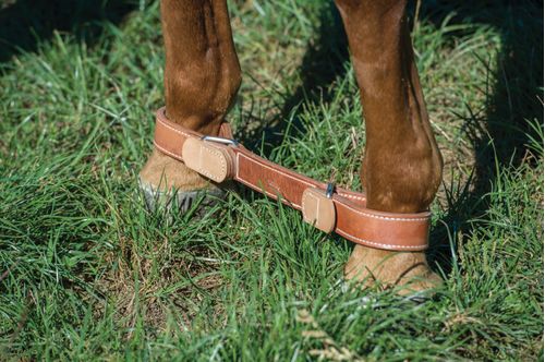 Weaver 1.5" Leather Hobbles w/Tabs - Russet