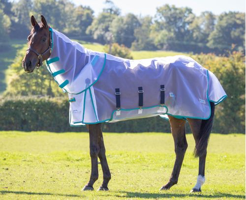 READY TO SHIP: Shires Highlander Fine Mesh Detachable Neck Fly Sheet - 69 - White