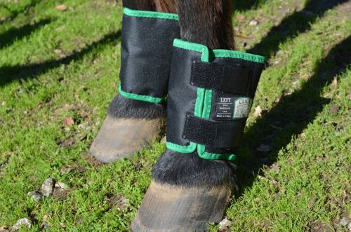 CLICK Horse Fetlock Shields - Green
