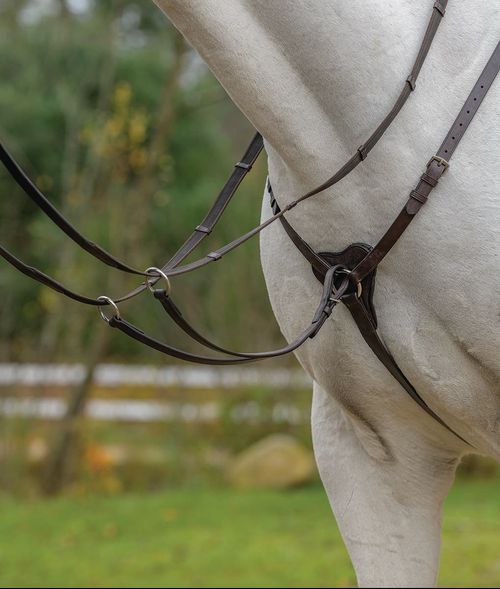 OPENBOX: Shires Avignon Three Point Breastplate - Large Horse - Havana