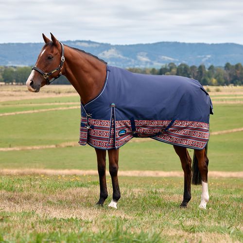 Weatherbeeta Comfitec Legend Turnout 220G - AzTech