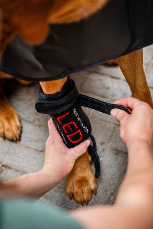 Horseware LED Red Light Therapy Pet Leg Wraps Pair - Black/Black