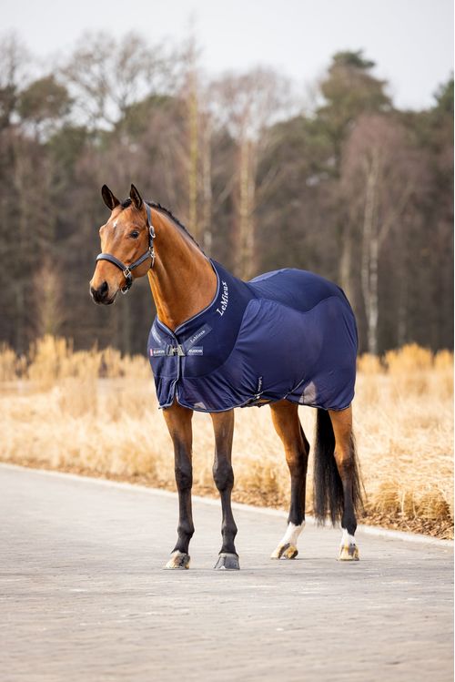 LeMieux Kudos Mesh Sports Cooler - Navy