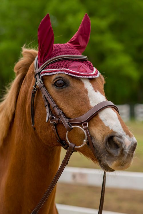 BARGAIN BARN: Lettia Shadow Earnet - One Size - Wine