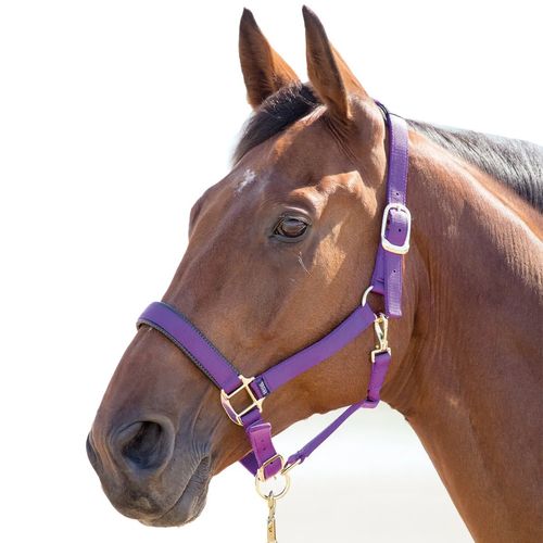 OPENBOX: Shires Topaz Leather Breakaway Nylon Halter - Horse - Purple