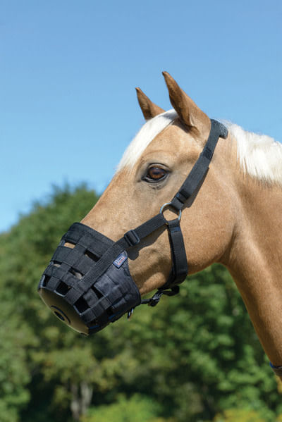 OPENBOX: Shires Freegraze Comfort Grazing Muzzle - Small Pony - Black