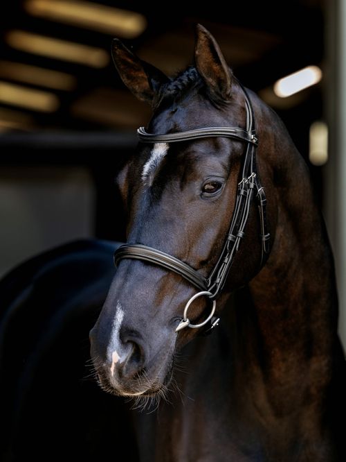 LeMieux Arika Cavesson Bridle - Black/Silver