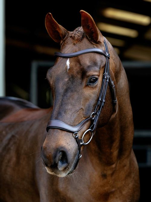 LeMieux Arika Drop Bridle - Brown/Silver