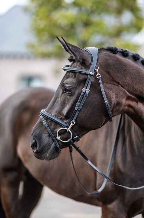 LeMieux Work Bridle - Black