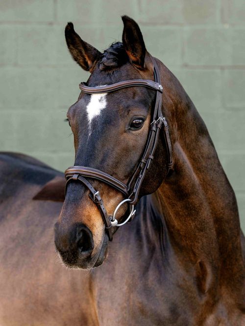 LeMieux Arika Flash Bridle - Brown/Silver