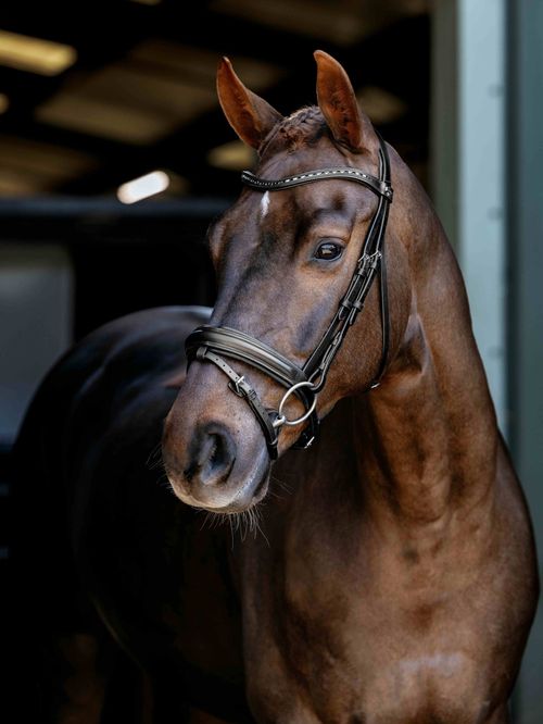 LeMieux Arika Dressage Bridle - Black/Silver