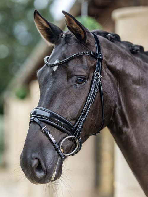 LeMieux Kudos Patent Rolled Dressage Bridle - Black