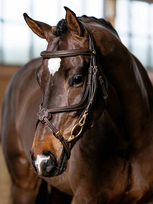 LeMieux Kudos Grackle Work Bridle - Brown