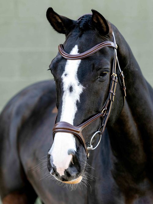 LeMieux Kudos Sport Bridle - Havana/Brass