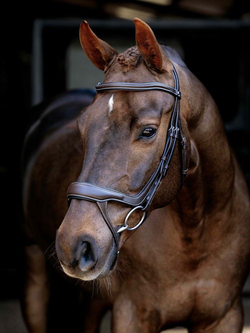 LeMieux Arika Split Noseband Bridle - Brown/Silver
